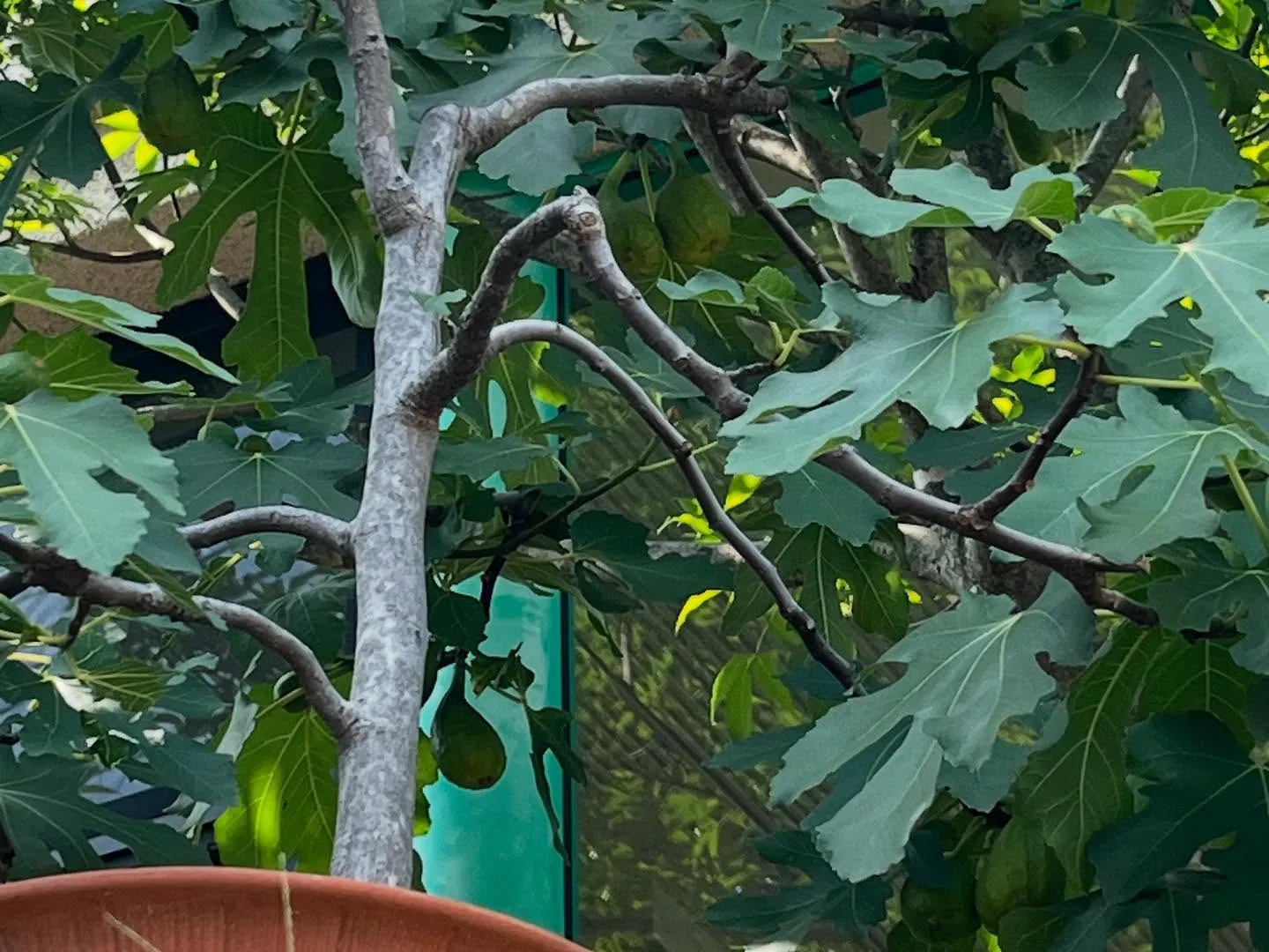 今週末に京都市から産後デイケア施設（HARU上京-with ...